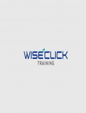 wise click training logo